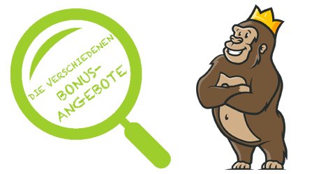 Die Verschiedenen Bonusangebote