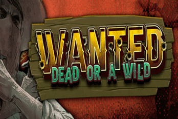 hacksaw Wanted Dead or a Wild  Slot Game Thumbnail Image